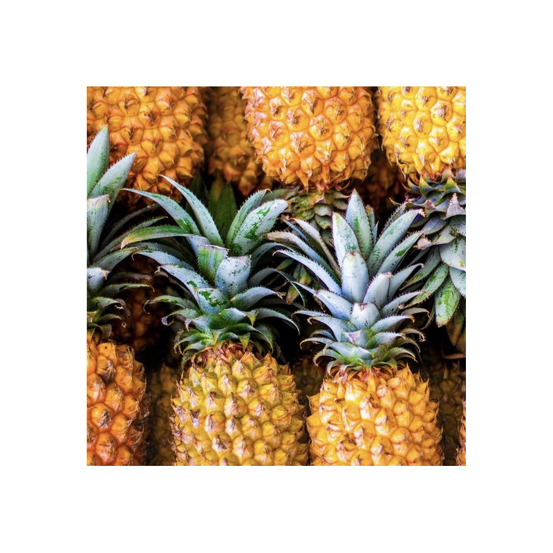 Ananas EXTRA