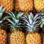 Ananas EXTRA
