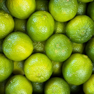 Citron vert