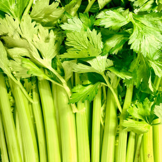 Cèleri vert