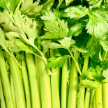 Cèleri vert