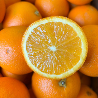 Orange à jus
