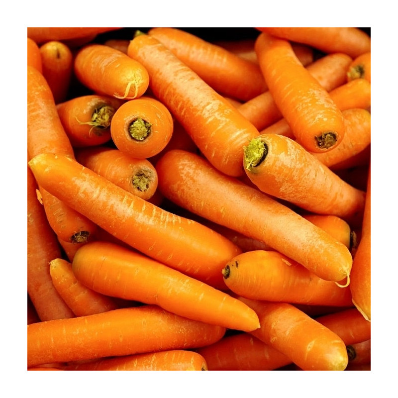 Carottes