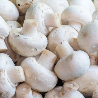 Champignon