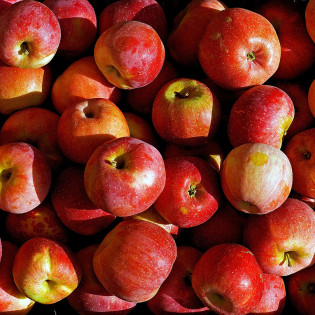 Pomme d'amour