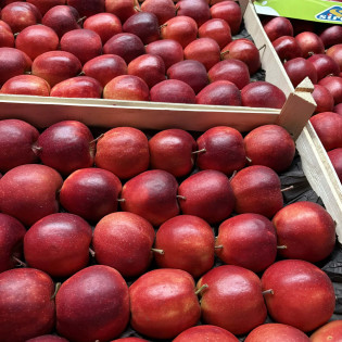 Pomme jonagold en plateau de 8kg