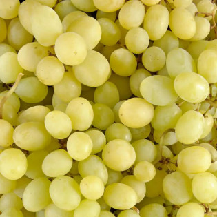 Raisin blanc