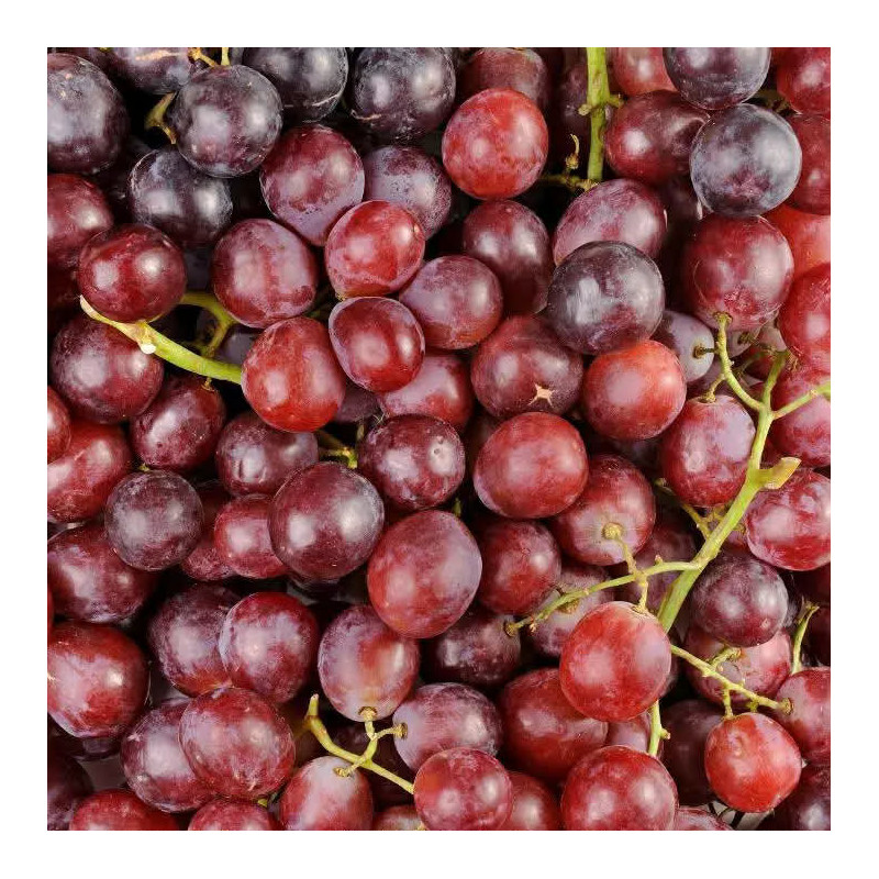 Raisin Rouge
