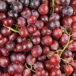 Raisin Rouge