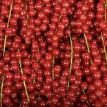 Groseille 500G