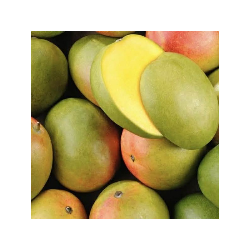 Mangue Bateau