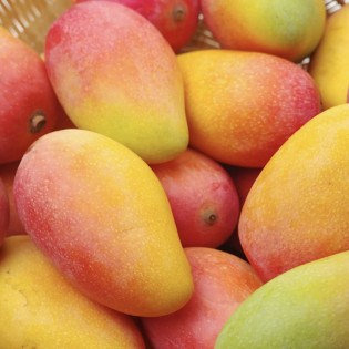 Mangue Avion