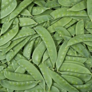 Mange-tout