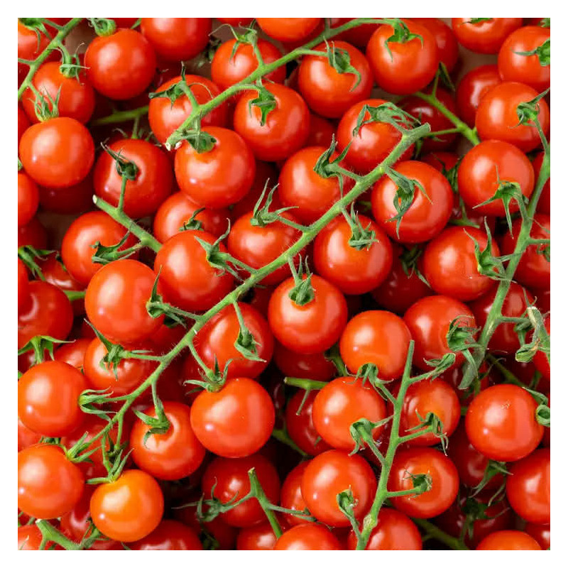 Tomate cherry star (500gr)