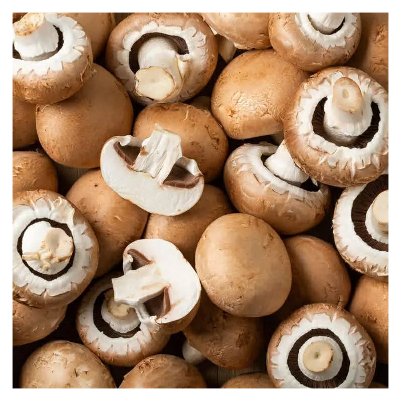 Champignon Brun
