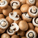 Champignon Brun