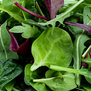 Salade babylaef