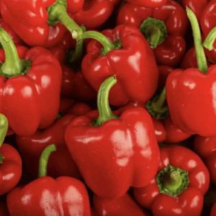 Poivrons rouge