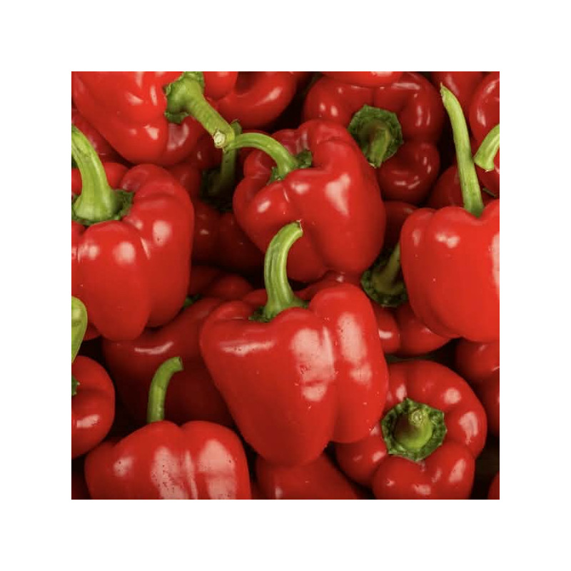 Poivrons rouge