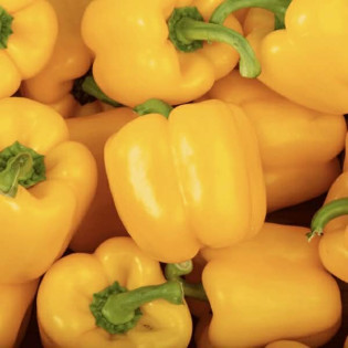 Poivrons jaune