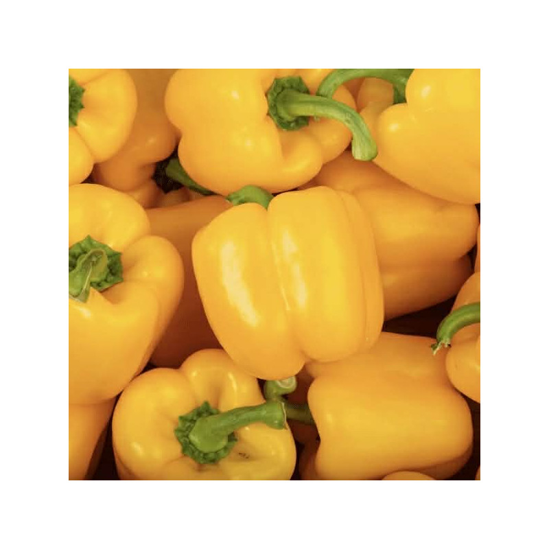 Poivrons jaune