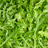 Salade Roquette