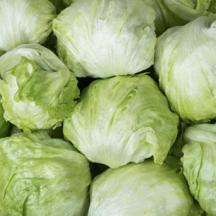Salade Iceberg