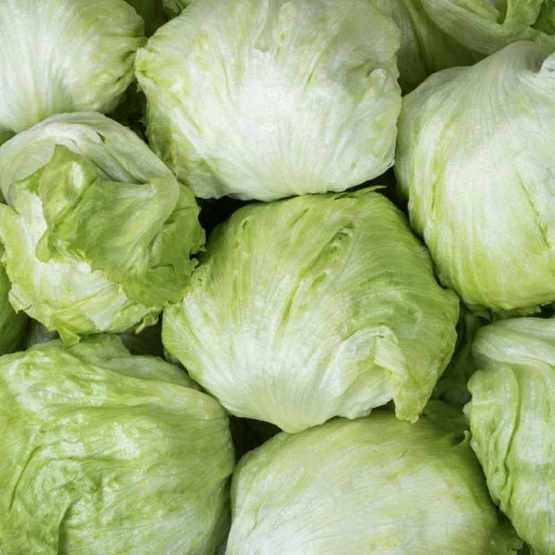 Salade Iceberg