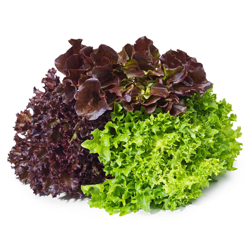 Salade trio