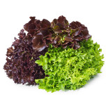 Salade trio