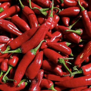 Piment doux