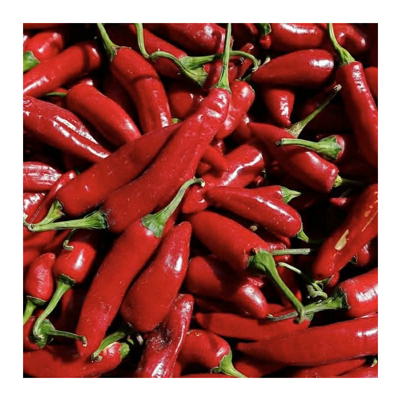Piment doux
