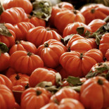 Tomates coeur de boeuf