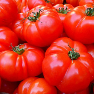 Tomates rondes