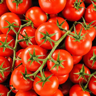 Tomate grappe