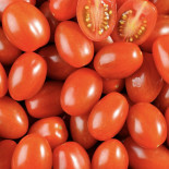 Tomates cerises barquette