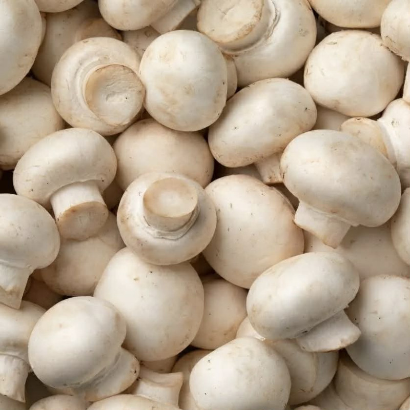 Champignon