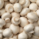 Champignon