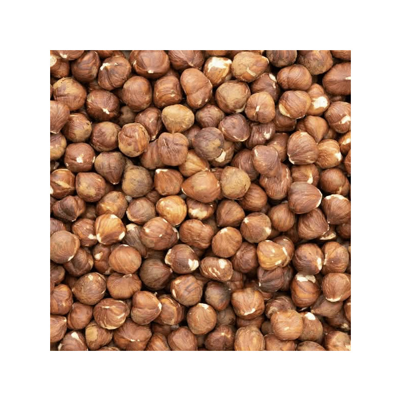 Noisette