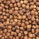 Noisette
