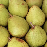 Poire doyennée