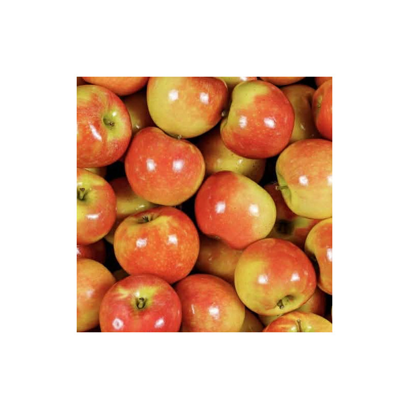 Pomme kanzy