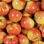 Pomme kanzy
