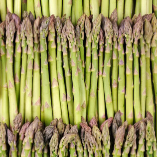 Asperge verte