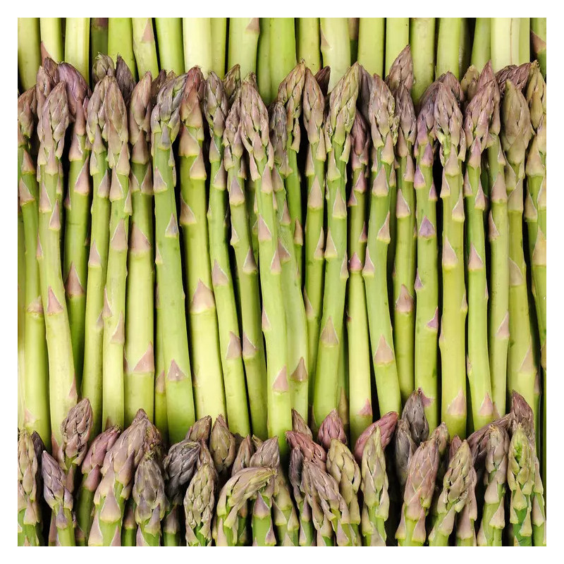 Asperge verte
