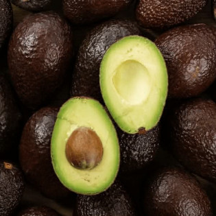 Avocat