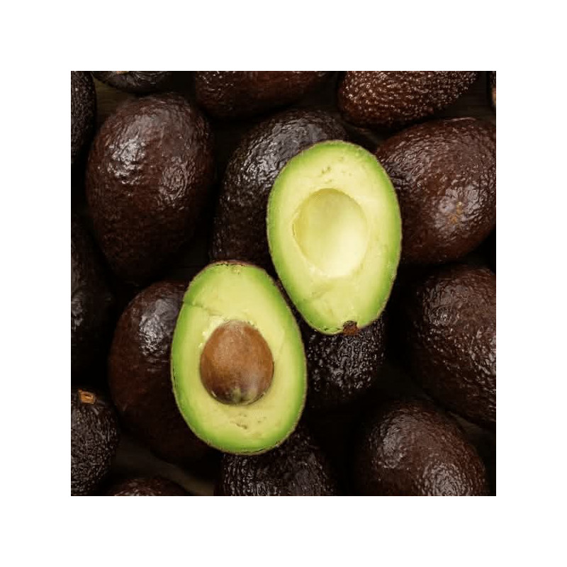 Avocat