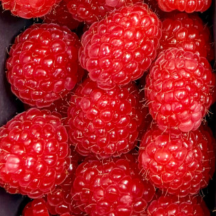Framboise