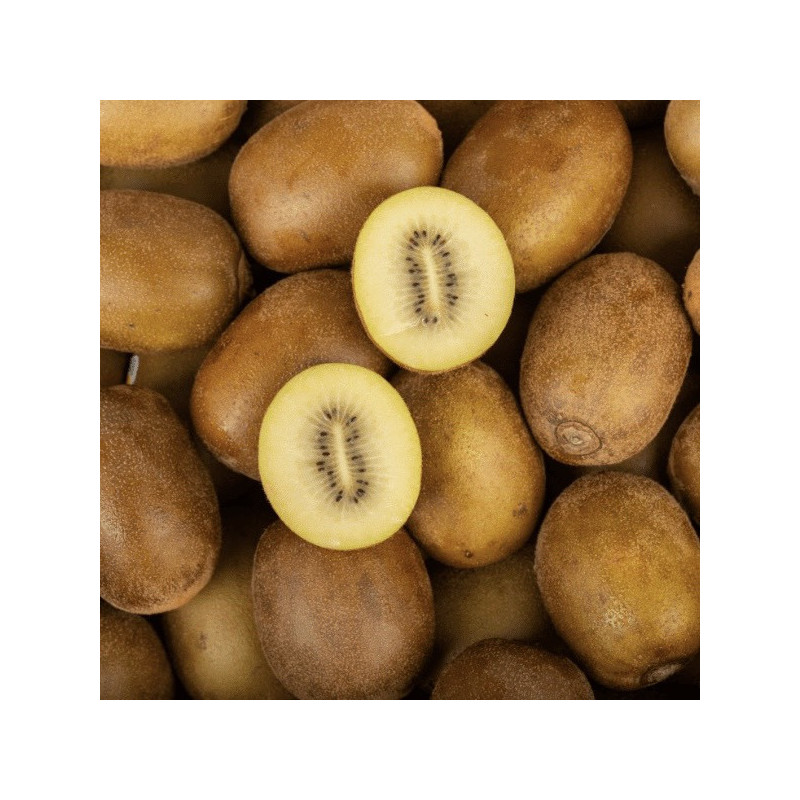 Kiwi Jaune