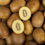 Kiwi Jaune